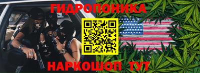 шишки Донской