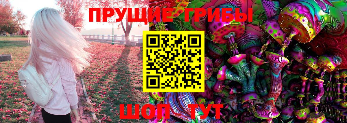Псилоцибиновые грибы GOLDEN TEACHER Пугачёв