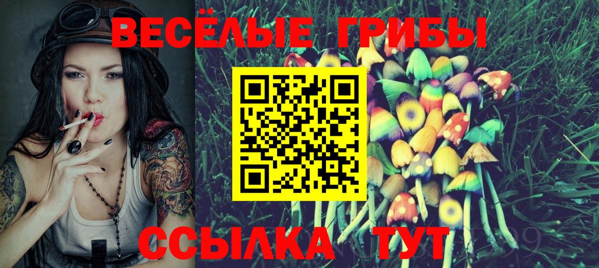 ТГК  Кокаин  Марихуана  Пугачёв  Метамфетамин  Меф кристаллы  ГАШИШ  Наркошоп  Вход с VPN 
